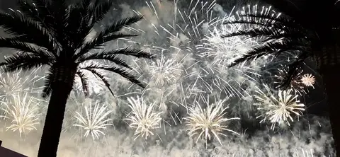 Video jigsaw puzzle titled Fireworks and Palm Trees