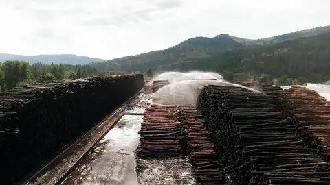 Lumberyard