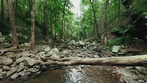 Drone footage of a rocky creek