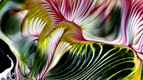 Liquid Paint Animation