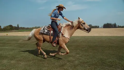 Horse and Rider