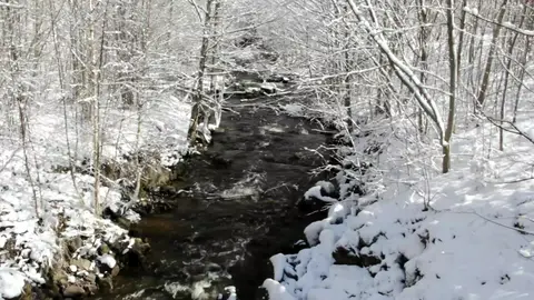 Winter stream