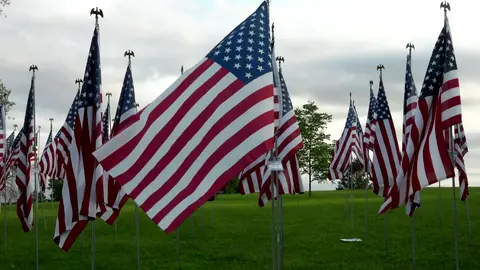 Video jigsaw puzzle titled Veterans Day Flags