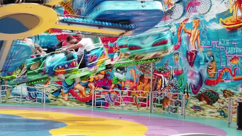 Carousel at the Fair