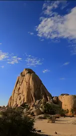 Sunny Day