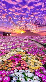 Fantasy Flowerscape