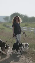 Walking the dogs