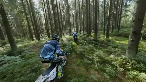 Motorcycles in the woods