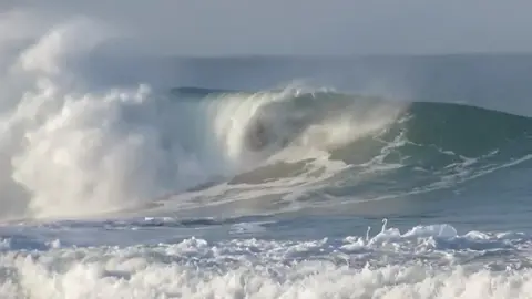 Surfer