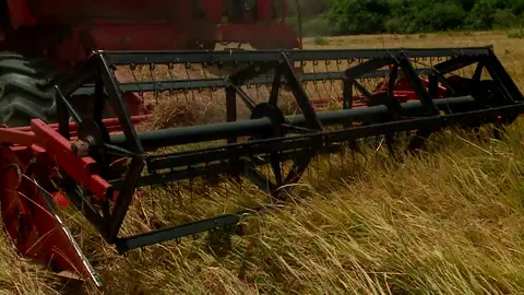 Farming