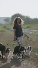 Video jigsaw puzzle titled Walking the dogs