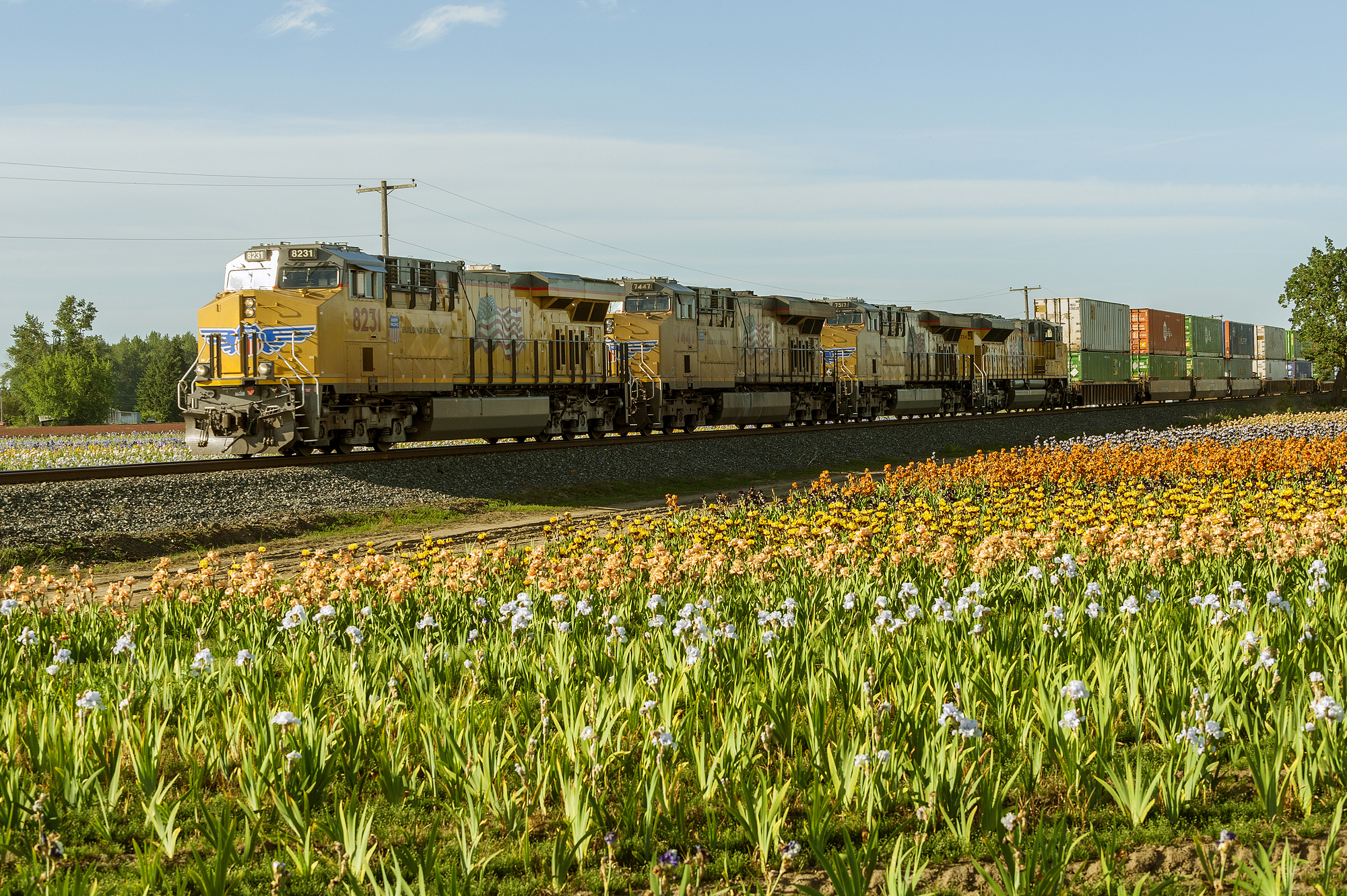 Image jigsaw puzzle titled Union Pacific Train