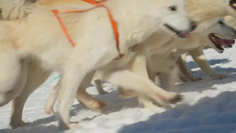 Sledding