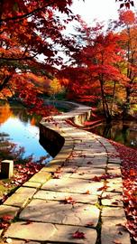 Autumn Path