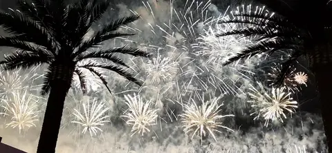 Fireworks and Palm Trees